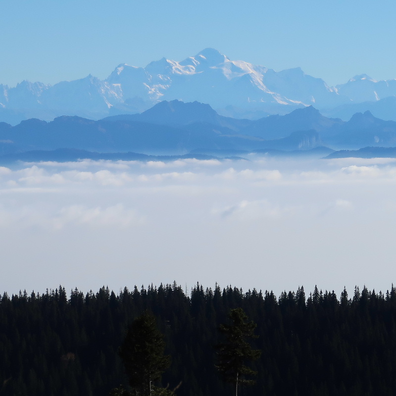 mont-tendre-randonn-e-d-t-depuis-la-cabane-du-cunay-pr-s-du-col-du